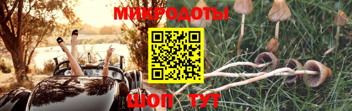Орск  Псилоцибиновые грибы MAGIC MUSHROOMS  Псилоцибиновые грибы ЛСД  Вход с VPN 
